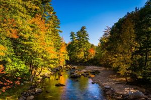 Image of autumn along the Swift River in New Hampshire