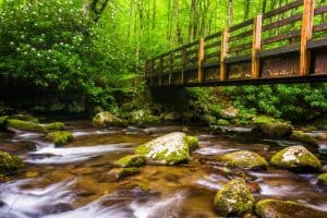 Image of a bridge and stream running through the Great Smoky Mountains in North Carolina