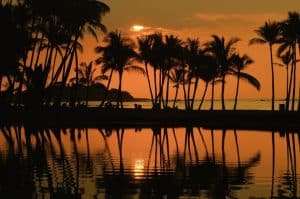 Image of sunset on a beach with palm trees in Hawaii