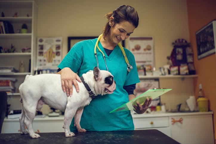 Image of a dog and a veterinarian who uses a veterinary answering service