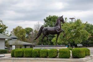 Image of a horse statue in Lexington, Kentucky
